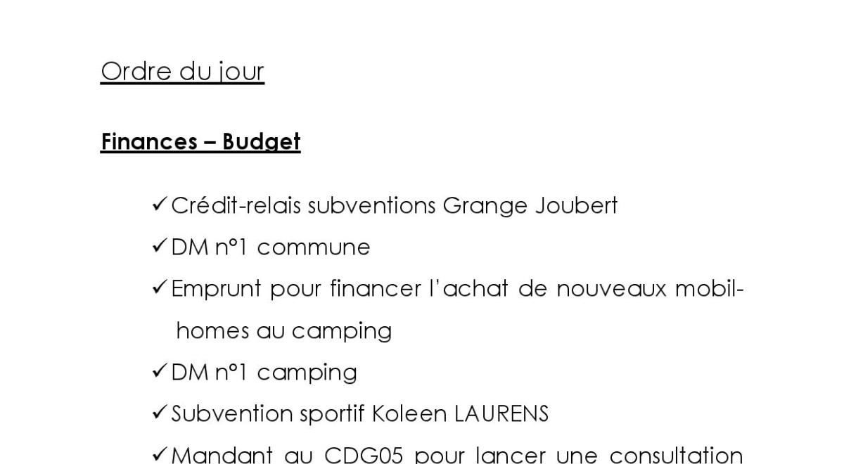 Conseil Municipal