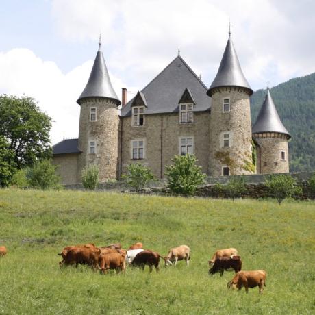 Château de Picomptal à Crots