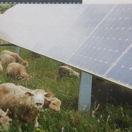 centrale solaire agrivoltaïque