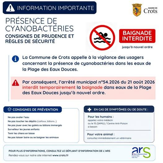 cyanobactéries
